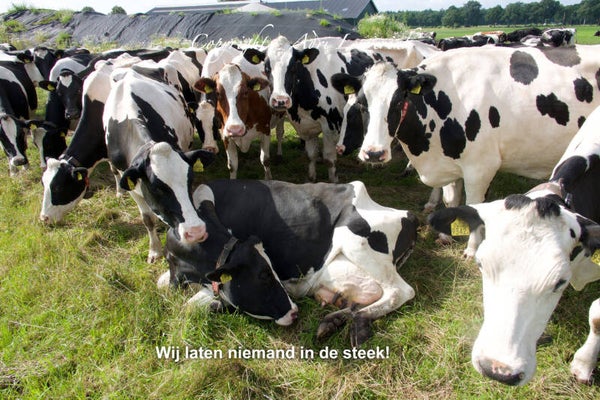 Magneet foto display 34