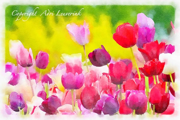 Dutch Tulips ART 175
