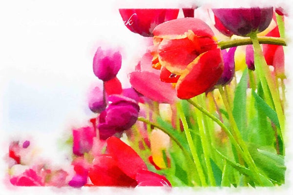 Dutch Tulips ART 176