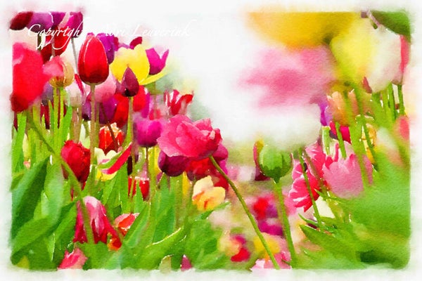 Dutch Tulips ART 178
