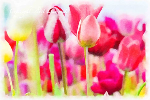Dutch Tulips ART 179