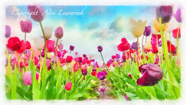 Dutch Tulips ART 185