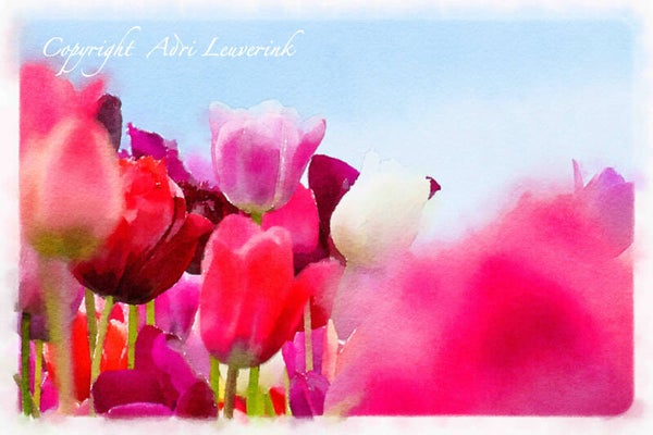 Dutch Tulips ART 189