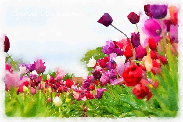 Dutch Tulips ART 153