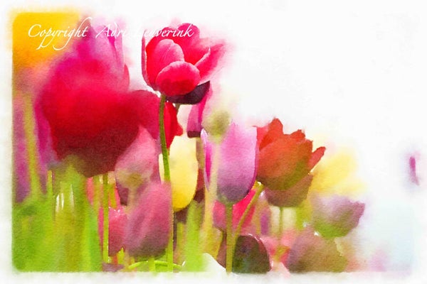 Dutch Tulips ART 155