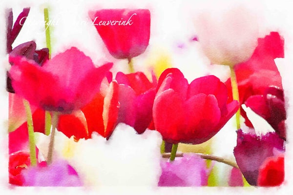 Dutch Tulips ART 157