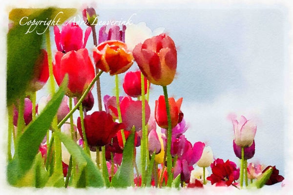 Dutch Tulips ART 159