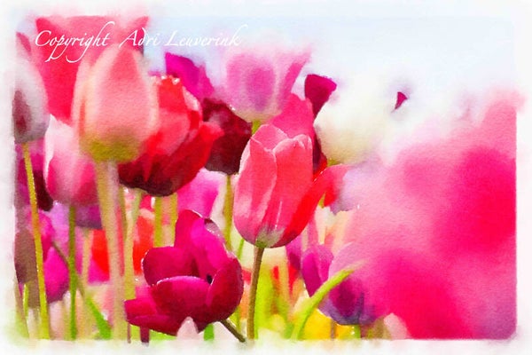 Dutch Tulips ART 131