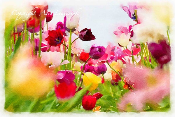 Dutch Tulips ART 132