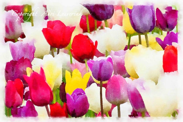 Dutch Tulips ART 133