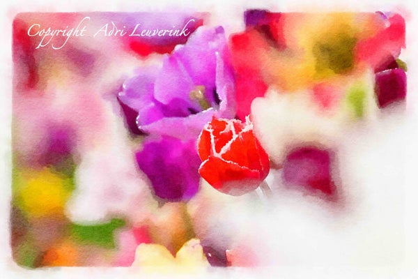 Dutch Tulips ART 135