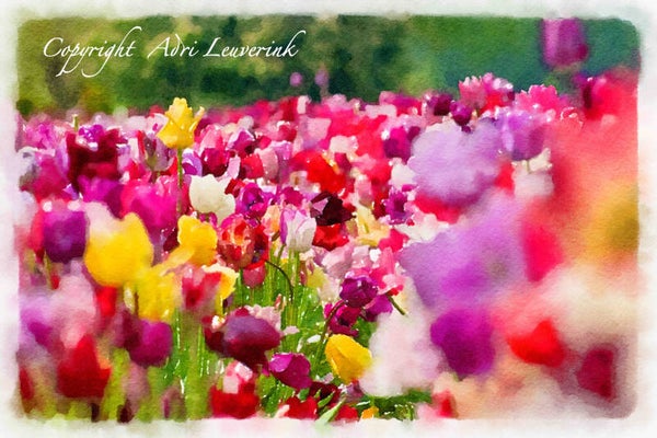 Dutch Tulips ART 136