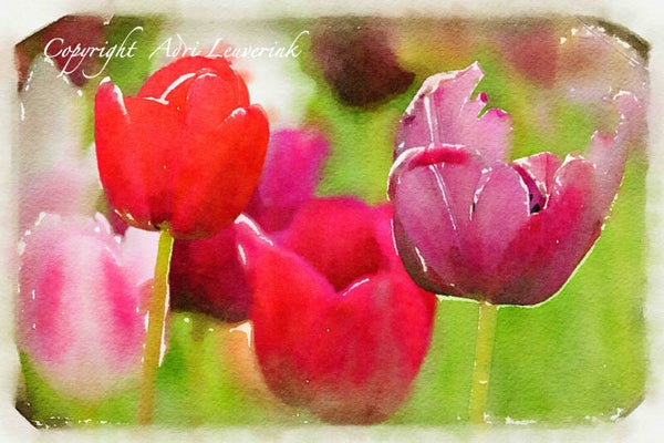 Dutch Tulips ART 203