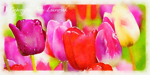 Dutch Tulips ART 208