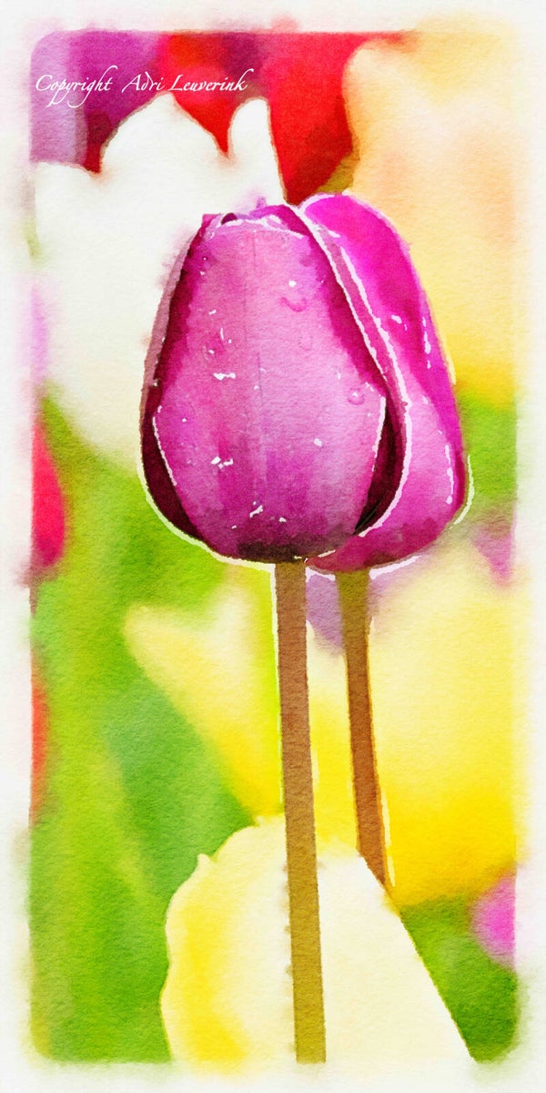 Dutch Tulips ART 210