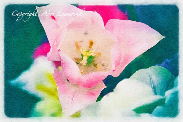 Dutch Tulips ART 225