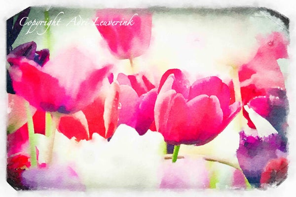 Dutch Tulips ART 227