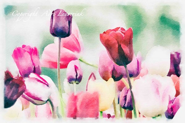 Dutch Tulips ART 228