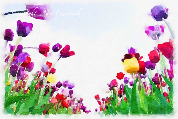 Dutch Tulips ART 161