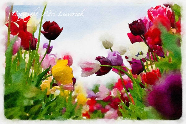 Dutch Tulips ART 165