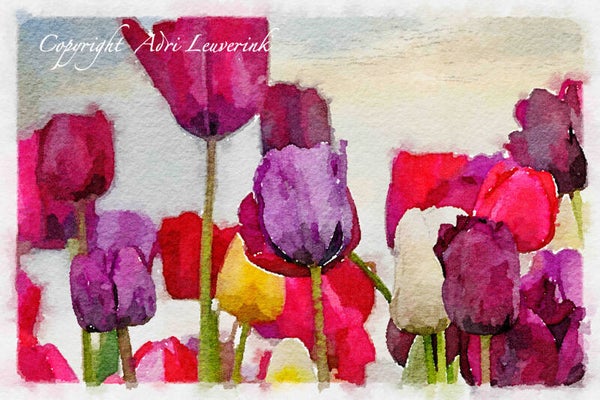 Dutch Tulips ART 233