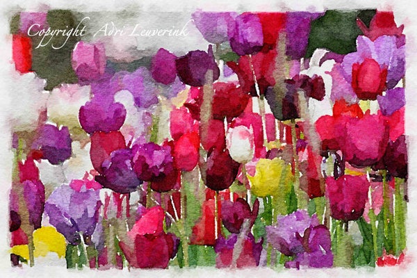 Dutch Tulips ART 169