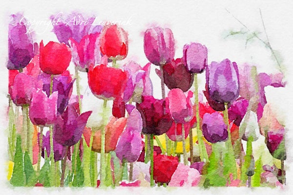 Dutch Tulips ART 235