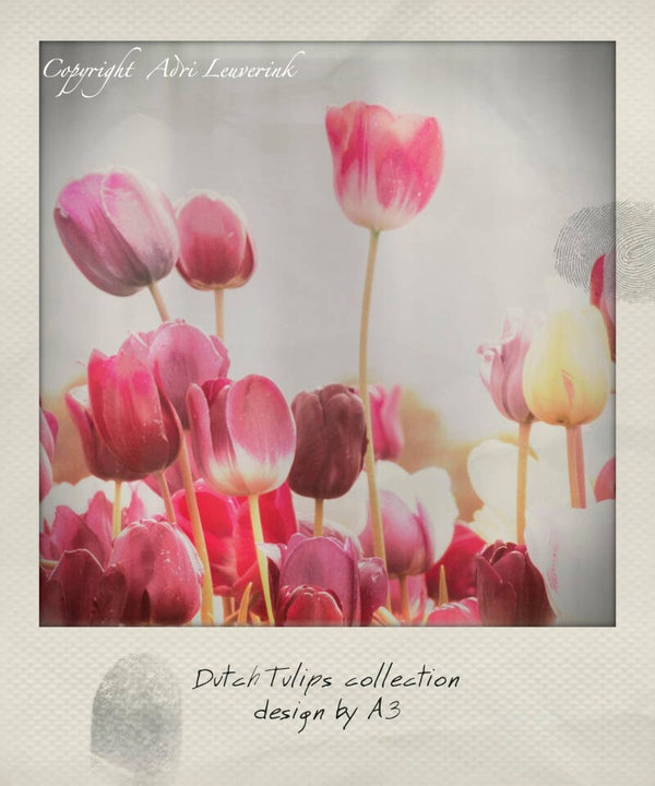 Polaroid Imageblocks 59