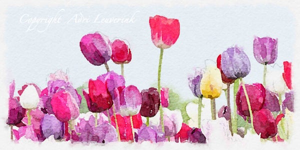 Dutch Tulips ART 173