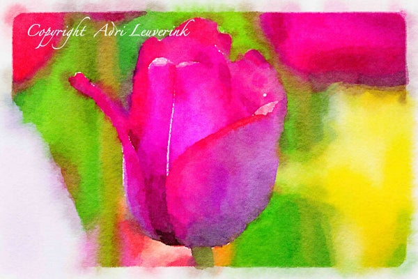 Dutch Tulips ART 141