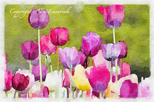 Dutch Tulips ART 142