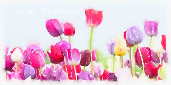 Dutch Tulips ART 144