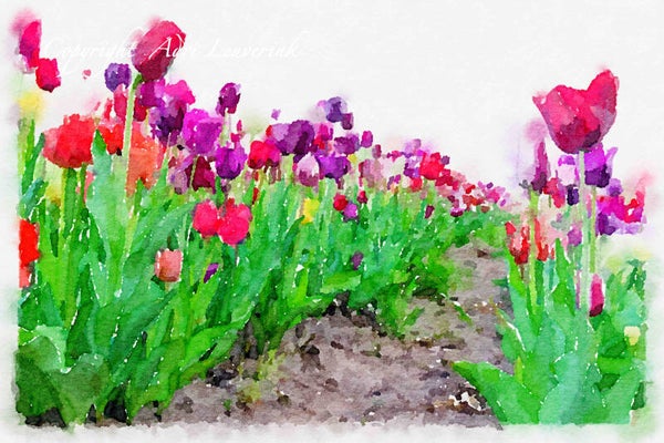 Dutch Tulips ART 146