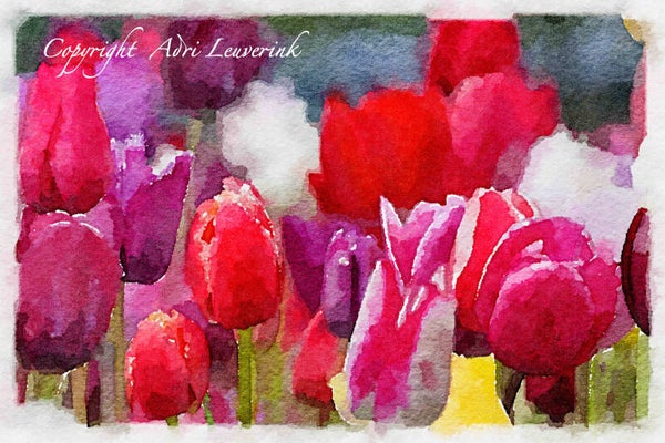 Dutch Tulips ART 148