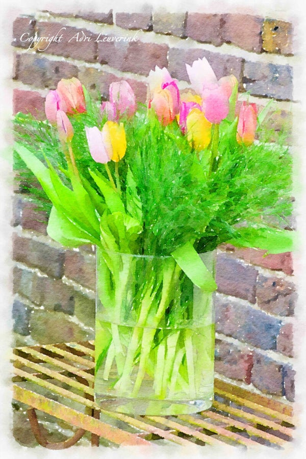Dutch Tulips ART 240