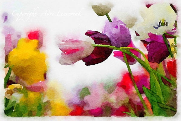Dutch Tulips ART 243