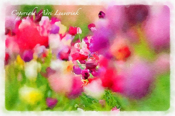 Dutch Tulips ART 247