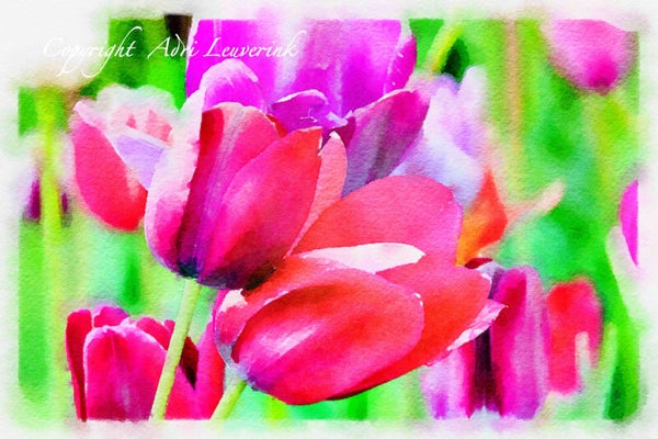 Dutch Tulips ART 248