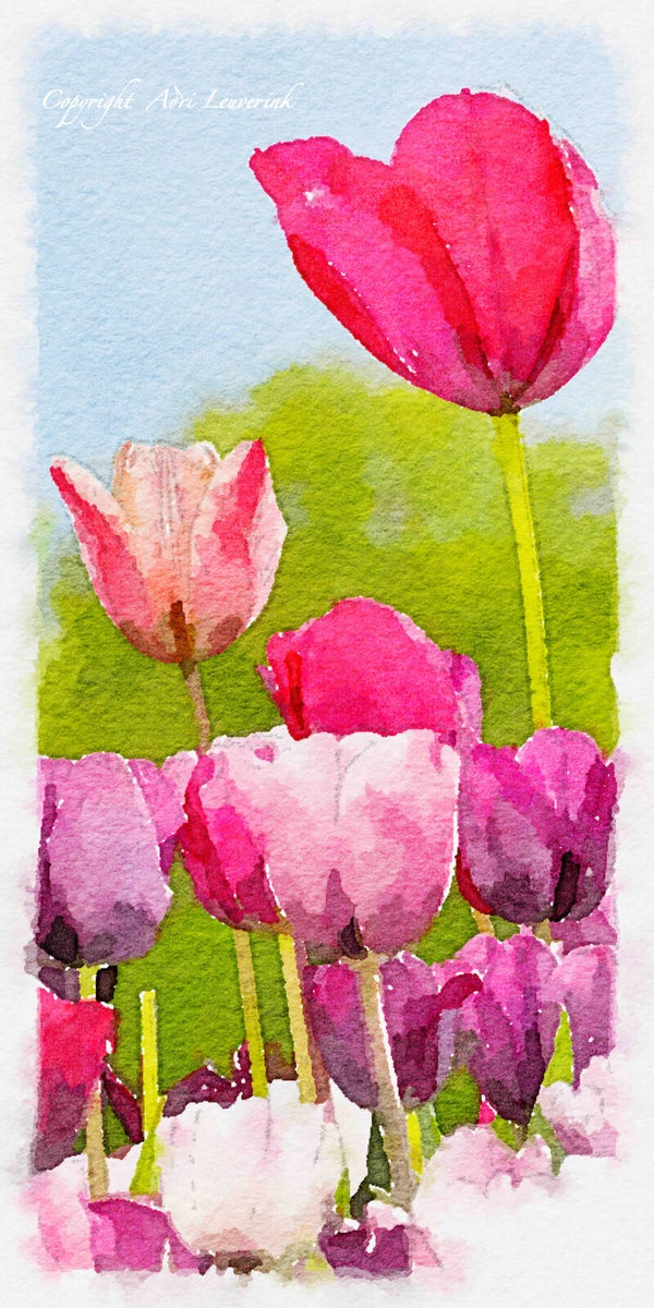 Dutch Tulips ART 246
