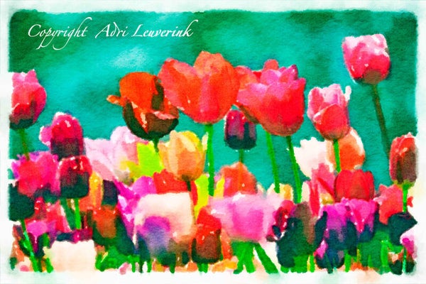 Dutch Tulips ART 253