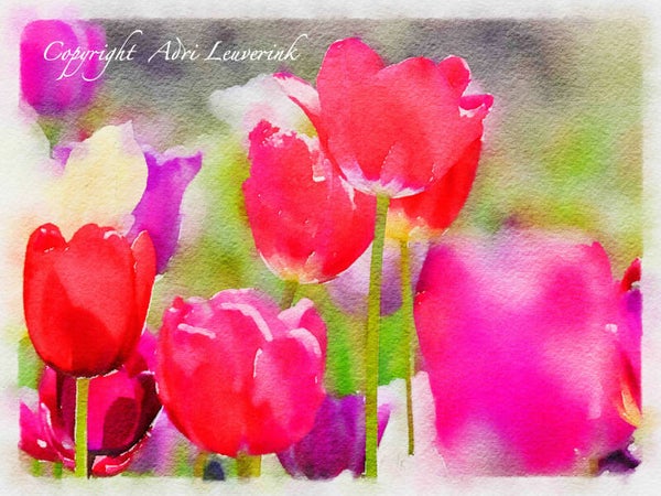 Dutch Tulips ART 254