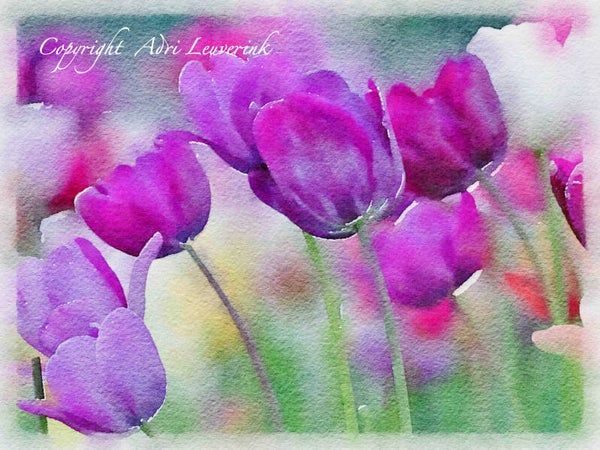 Dutch Tulips ART 256