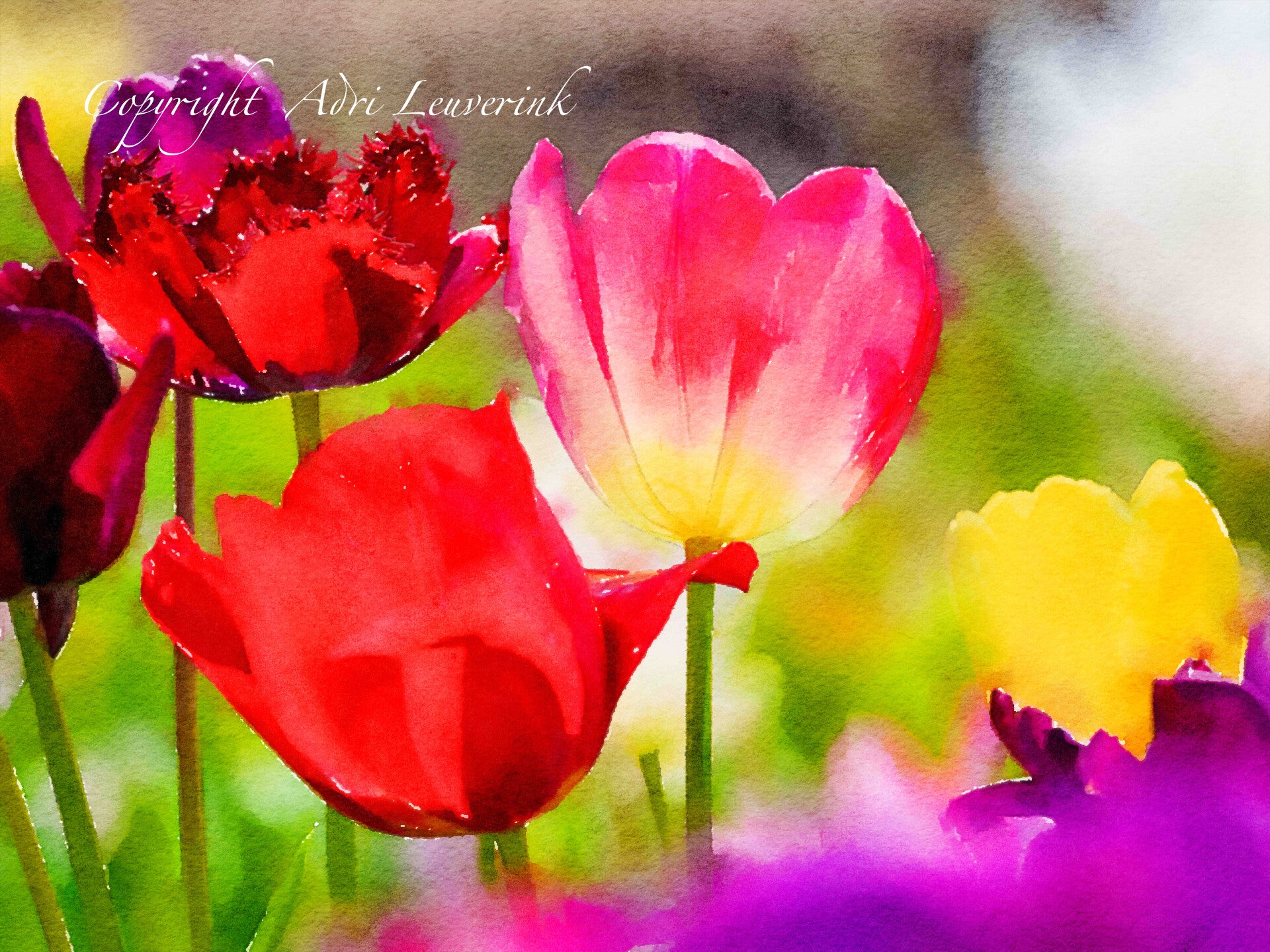 Dutch Tulips ART 7