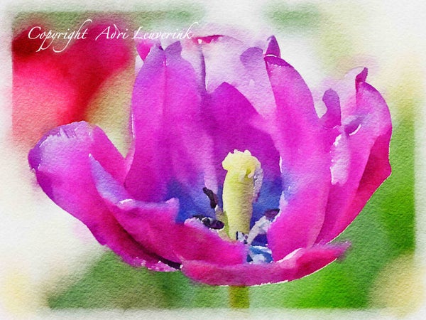 Dutch Tulips ART 274
