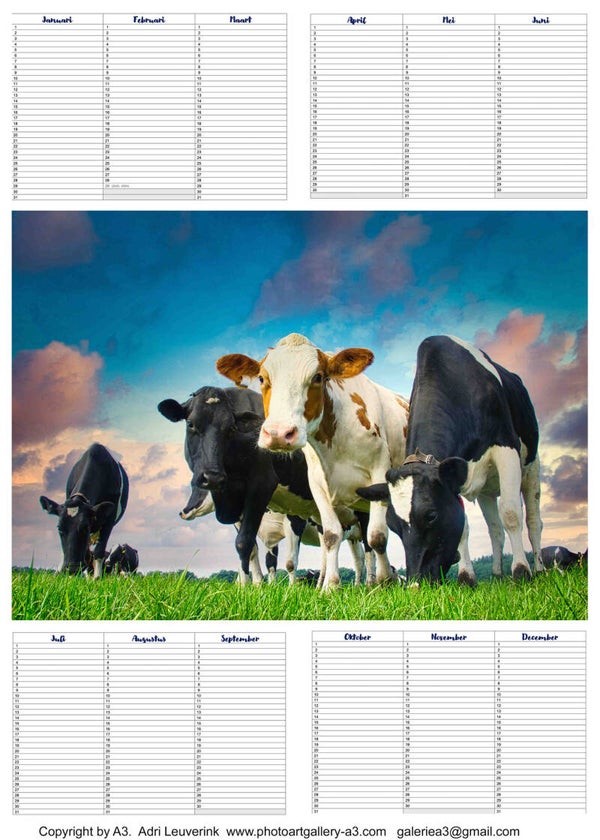 All in 1 verjaardagkalender met Kunstfoto's van Adri