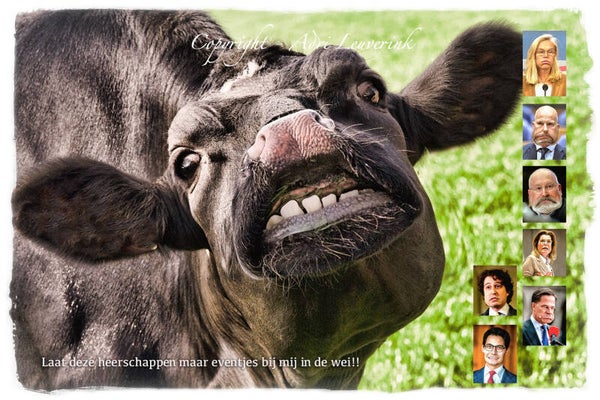 Magneet foto display 48