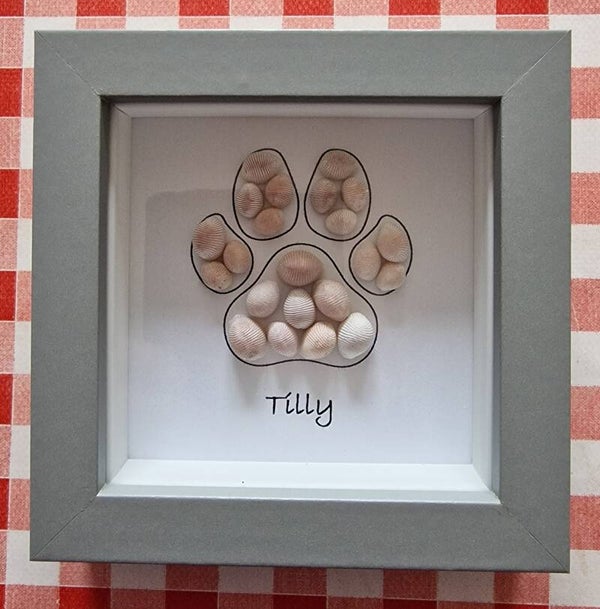 Cowrie paw print