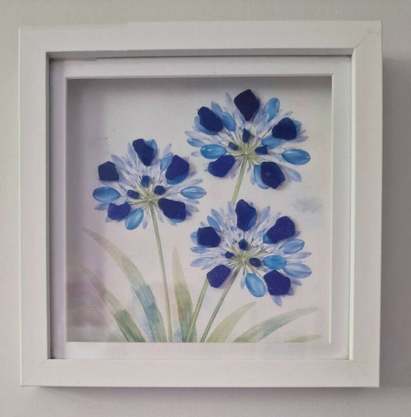 Watercolour Agapanthus