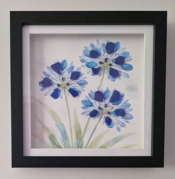 Watercolour Agapanthus