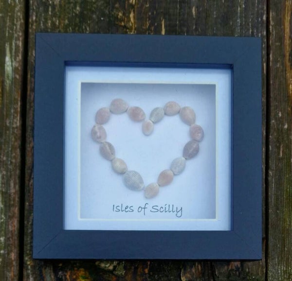 Isles of Scilly Cowrie heart